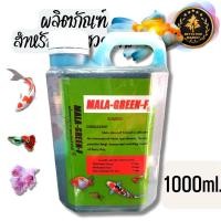 ราคา มาลา กรีน เอฟ Mala green f สำหรับปลาสวยงาม (16731296714)