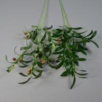 ราคา ต้นมะกอก โอลีฟ พร้อมกระถางดำ ต้นไม้ปลอมแต่งบ้าน ต้นไม้มงคล ต้นไม้แต่งคาเฟ่ ต้นไม้ยอดฮิต บ้านและสวน พร้อมส่ง Plant L GLS (21915908696)