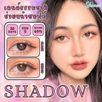 ราคา คอนแทคเลนส์ ขนาดมินิ Black Choco Shadow Shinee (20781079314)
