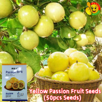 ราคา เมล็ดพันธุ์เสาวรส สีแดง สีเหลือง เมล็ดพันธุ์ เสาวรสหวาน เมล็ดพันธุ์ เสาวรสสีเหลือง Red Yellow Golden Passion Fruit Seeds for Planting Sweet and Juicy Passion Fruit Plants Seeds Bonsai Fruit Tree Seeds