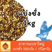 ราคา อาหารนกเขาใหญ่ 500g 1kg แบ่งชั่ง อาหารนก ขนมนก ข้าวนก นกพิราบ นกเขา นกเขาใหญ่ ธัญพืชสำหรับนก อาหารนกเขา (16639298363)