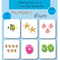 ราคา บัตรภาพ Flash Cards ตัวเลข (11627555017)