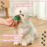 ราคา กัญชาแมว แคทนิปบอล แคทนิปบอลแมวเลีย ติดกำแพง ไม่กลิ้งหาย catnip ball (21779546108)