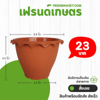 ราคา กระถางต้นไม้ปากจีบ ปากหยัก ปลูกบัว 9 12 14 นิ้ว (21399405098)