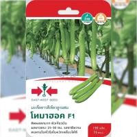 ราคา เมล็ดพันธุ์ มะเขือยาวสีเขียวลูกผสม โทมาฮอค ตราศรแดง (19518852318)