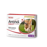 ราคา Antinol สุนัข อาหารเสริมบำรุงข้อ ลดอักเสบ ของ แคปซูล หมดอายุ08 2025 แพ็คเกจใหม่ อาหารเสริมบำรุงข้อ ข้ออักเสบ 1 กล่องบรรจุ 60 เม็ด (21539846816)