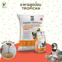 ราคา HAGEN TROPICAN Hand Feeding Formula 2kg อาหารลูกป้อน อาหารป้อนลูกนกเเก้วทุกสายพันธุ์ (21165083839)