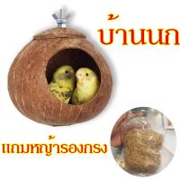 ราคา แถมหญ้ารองกรง บ้านนก บ้านนกแก้ว หงษ์หยก ฟอพัส เลิฟเบิร์ด ค๊อกคาเทล กรีนชีค ของเล่นนก ที่นอนสัตว์เลี้ยง (19085043418)