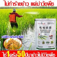 ราคา 1วันกำจัดวัชพืชให้หมด ยาฆ่าหญ้า ซื้อ1แถม1 ยาฆ่าหญ้าในนาข้าว ไม่ทำร้ายข้าว แต่ฆ่าวัชพืช ยาฆ่าหญ้าในนา กำจัดวัชพืชไนนาข้าวได้ 99 สารกำจัดวัชพืชในนาข้าว หลังใช้ ไม่มีวัชพืชอีกต่อไป ยาคุมหญ้าข้าว (2197995