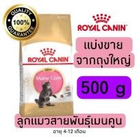 ราคา แบ่งขาย อาหารแมว Royal canin Kitten Maincoon ลูกแมวพันธุ์เมนคูน อายุ 4 12เดือน 500g 800g 1kg อาหารแมวรอยัลคานินแบบแบ่งขาย (21638211018)