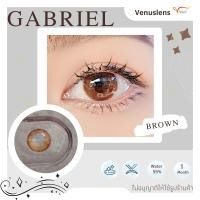 ราคา คอนแทคเลนส์ Gabriel Gray Brown ยี่ห้อ Beautylens ค่าสายตาปกติ 700 (17902372960)