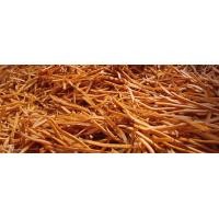 ราคา ข้าวเกรียบกุ้งเส้น แคปกุ้ง เกรด AAA เส้นยาว สวย ทอดง่าย กรอบ อร่อย (21216936602)