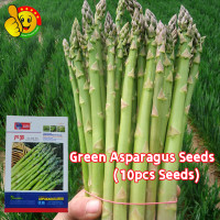 ราคา เมล็ดหน่อไม้ฝรั่ง หน่อไม้ฝรั่งม่วง หน่อไม้ฝรั่งขาว Sweet Asparagus Seeds for Planting Green Purple White Bonsai Vegetable Plant Seeds Asparagus Vegetables Seeds for Gardening เมล็ดพันธุ์ หน่อไม้ฝรั่ง 