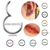 ราคา 1Piece G23 Titanium Hinged Segment Cartilage Earrings Nose Ring Tragus Helix Lip Piercing 16G (21137473407)