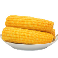 ราคา รวมเมล็ดพันธุ์ข้าวโพด เมล็ดพันธุ์ข้าวโพด ข้าวโพดหวาน ข้าวโพดเทียนรวม ข้าวโพดข้าวเหนียวดำ นิลสยาม หวานละไม 30 35 เมล็ดต่อซอง (21842032983)