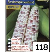 ราคา รวมเมล็ดพันธุ์ข้าวโพด เมล็ดพันธุ์ข้าวโพด ข้าวโพดหวาน ข้าวโพดเทียนรวม ข้าวโพดข้าวเหนียวดำ นิลสยาม หวานละไม 30 35 เมล็ดต่อซอง (21842032986)