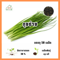 ราคา เมล็ดพันธุ์ กุยช่าย บรรจุ 50 เมล็ด (21763848389)