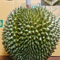 ราคา ส่งฟรี ทุเรียน ทุเรียนก้านยาว ก้านยาว เนื้อเนียนละเอียด ละมุน หวาน มัน อร่อย ทุเรียนจันทบุรี มีรับประกันสินค้า จัดส่งทั้งลูก (19399807548)