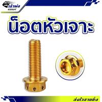ราคา ส่งเร็ว น็อตหัวเจาะ สีทอง 10X45 mm น็อตแต่ง น็อตทอง น๊อตแต่งรถมอไซ น๊อตทอง น๊อตแต่ง (21803635558)