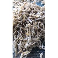 ราคา ปลาตัวเล็กครึ่งกิโล75บาท ไม่เค็ม (20138655553)