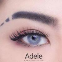 ราคา คอนแทคเลนส์ รุ่น Adele ยี่ห้อ Pretty doll สายฝอ มีสี เทา ตาล ฟ้า เขียว สายตาปกติ (19527886250)