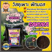 ราคา พีทมอส ซากุระ Sakura peat moss แบ่งขาย บรรจุ 1 กิโลกรัม วัสดุเพาะ วัสดุเพาะกล้า อุ้มน้ำได้ดี ร่วน โปร่ง พืชโตไว เจริญเติบโตได้ดี (11047272649)
