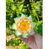 ราคา เหรียญโปรยทาน ดอกบัวดาว ตัวเปล่า (21805979518)