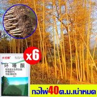 ราคา ต้นไม้พันปี 1ห่อรากเน่า ผงกำจัดกอไผ่500g สารกําจัดกอไผ่ เฮกซาซิโนน5 ผงกำจัดต้นไม้ ฆ่าไม้ไผ่ทุกชนิดได้ง่ายๆ ยาฆ่าไม้ไผ่ ไม่ทำร้ายดิน เม็ดกำจัดต้นไม้ ผงกำจัดต้นไผ่ ผงฆ่ากอไผ่ ยาฆ่าไผ่ ยากำจัดกอไผ่ ผงกำจ