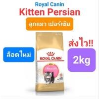 ราคา Royal Canin Persian 2kg แมวโตเปอร์เซีย Exp 05 25 Kitten Persian 2 kg ลูกแมวเปอร์เซีย persia ถุงขนาด 2 กิโลกรัม (16207210871)