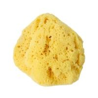 ราคา FARLIN ฟองน้ำธรรมชาติ100 จากทะเลอีเจียนรุ่น USE 667XL อ่อนโยนและบริสุทธิ์อุ้มน้ำได้ดี อีกทั้งยังให้สัมผัสที่นุ่ม ขนาดXL ฟองน้ำธรรมชาติOrganic (20792960557)