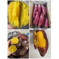 ราคา มันญี่ปุ่น ยกลัง 5กิโลกรัม พร้อมส่ง (18822510181)