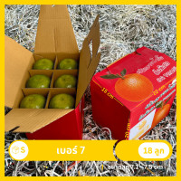 ราคา ส้มสายน้ำผึ้ง อ ฝาง ส้มนอกฤดู (21831152810)