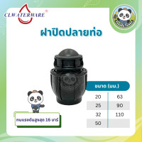ราคา ฝาปิดปลายท่อ อุดปลายท่อ แบบสวมอัด PE Compression สำหรับท่อ HDPE ขนาด 20mm 110mm (21395303705)