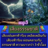 ราคา พรเทวะ แฟลชไดร์ฟ Mp3 เสียงธรรมชาติ เสียงฝนตกฟ้าร้อง เพลิดเพลินกลับเสียงฟ้าร้อง ผ่อนคลายกับธรรมชาติ ความยาวกว่า 3 ชั่วโมง ใช้กับเครื่องเล่น USB mp3 ทุกชนิดหรือเปิดฟังในรถยนต์เปิดในคอมพิวเตอร์ได้ สามาร 