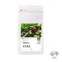 ราคา โรบัสต้าชุมพรแท้ 100 บรรจุ 500 กรัม เข้มทะลุนม Italian Roast Catimore เมล็ดกาแฟสด (18745472483)