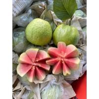 ราคา พร้อมส่ง 1KG ฝรั่งไส้แดง ฝรั่งหงเป่าสือสด (21975944497)