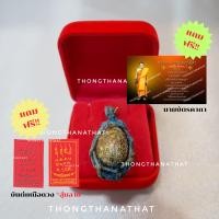 ราคา จี้เบี้ยแก้กรอบถัก แก้คุณไสย ป้องกันภัย ป้องกันอาคม จี้สร้อยคอเบี้ยแก้ เบี้ยแก้ วัตถุมงคล จี้กรอบหวาย (21963931972)