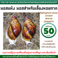 ราคา มอสเลี้ยงหอยทาก มอสแห้ง สแฟ็กนั่มมอส Sphagnum moss กล่องละ 50 บาท (21469328818)