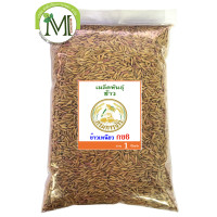 ราคา เมล็ดพันธุ์ข้าวปลูก ข้าวเหนียว กข6 น้ำหนัก 1 กิโลกรัม (2060750177)