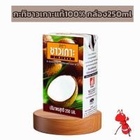 ราคา กะทิชาวเกาะแท้100 กล่อง250ML กะทิอย่างดีขนาดเล็ก (21837529572)