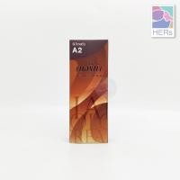 ราคา เบอร์ A1 A15 Berina Hair Color Cream ครีมย้อมผม เบอริน่า คัลเลอร์ 60 กรัม (9560124537)