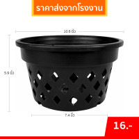 ราคา กระถาง กระถางกล้วยไม้ กลม ขนาด 11 นิ้ว เตี้ย สีดำ (21394600966)