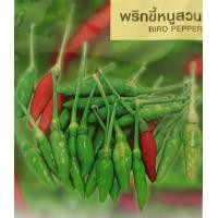 ราคา พริก พันธุ์พริก รวมพริก พริกขี้หนูสวน พริกจินดา พริกหนุ่ม พริกชี้ฟ้า พริกหยวก พริกกะเหรี่ยง พริกหวาน (20960781992)