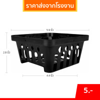 ราคา กระถาง กระถางกล้วยไม้ จัตุรัส ขนาด 6 นิ้ว สีดำ (21394574905)