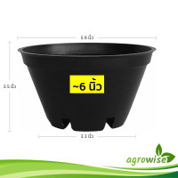 ราคา กะถางต้นไม้ กระถาง กระถางพลาสติก สีดำ ทรงเตี้ย 6 นิ้ว กระถางเพาะเมล็ด 50 ใบ (21932248812)