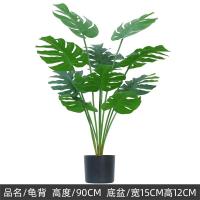 ราคา ต้นมอนสเตอร่าปลอม ต้นไม้ปลอม Artificial Tree ต้นไม้ประดิษฐ์ มอนสเตอร่าใบด่าง ไม้มงคลเรียกทรัพย์ ของตกแต่ง THAILUCKY (21908658160)