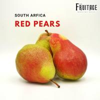 ราคา ลูกแพร์แดง แพร์เขียว 4ลูก RED PEAR South Africa ลดพิเศษ หอม หวาน อร่อย ผลไม้สดๆ ผลไม้สดนำเข้า ต่างประเทศ ผลไม้นอก Fruitage ลูกแพรแดง ลูกแพรเขียว (14008000464)