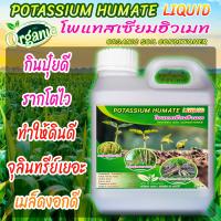 ราคา Potassium Humate Liquid โพแทสเซียมฮิวเมตชนิดน้ำ สูตรเข้มข้น เปลี่ยนดินปลูกให้เป็นดินป่า ขนาด 1 ลิตร (21465232659)