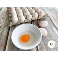 ราคา ไข่เป็ดปลอดสารพิษ 30 ฟอง สดจากฟาร์ม คละไซส์เล็ก (20994467942)