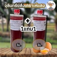 ราคา 1แถม1 ใช้โค้ดส่งฟรี จุลินทรีย์สังเคราะห์แสง PSB ขนาด1ลิตร 1แถม1 สูตรเข้มข้นสีแดงสด ใช้ขยายเชื้อต่อได้ไม่รู้จบ (21989475472)